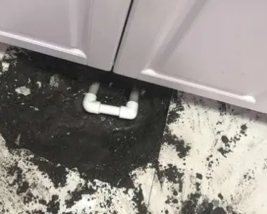 双辽查漏水哪家好