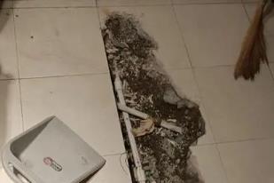 双辽卫生间漏水检测电话